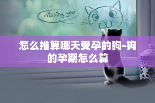 怎么推算哪天受孕的狗-狗的孕期怎么算