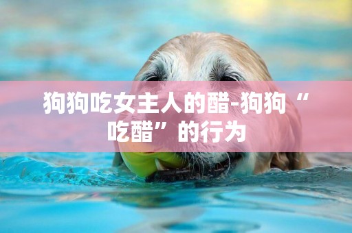 狗狗吃女主人的醋-狗狗“吃醋”的行為