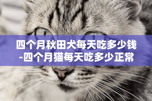 四個月秋田犬每天吃多少錢-四個月貓每天吃多少正常