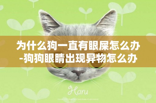 為什么狗一直有眼屎怎么辦-狗狗眼睛出現異物怎么辦