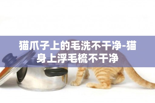 貓爪子上的毛洗不干凈-貓身上浮毛梳不干凈