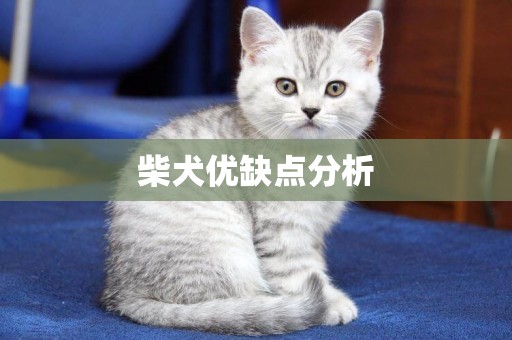 柴犬優缺點分析