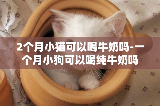2個月小貓可以喝牛奶嗎-一個月小狗可以喝純牛奶嗎