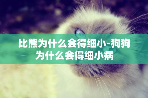 比熊為什么會得細小-狗狗為什么會得細小病