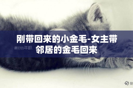 剛帶回來的小金毛-女主帶鄰居的金毛回來