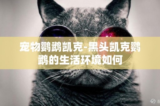 寵物鸚鵡凱克-黑頭凱克鸚鵡的生活環境如何
