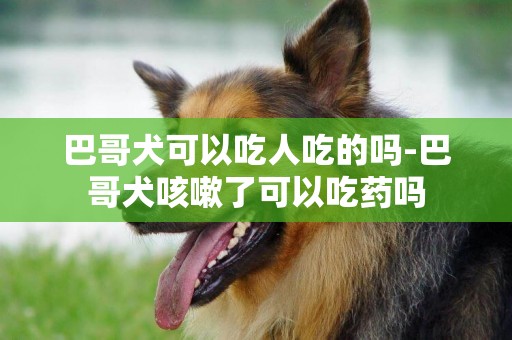 巴哥犬可以吃人吃的嗎-巴哥犬咳嗽了可以吃藥嗎