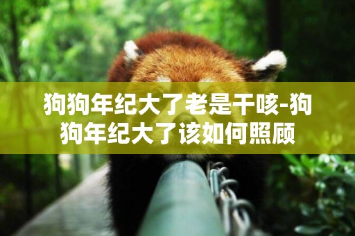 狗狗年紀大了老是干咳-狗狗年紀大了該如何照顧