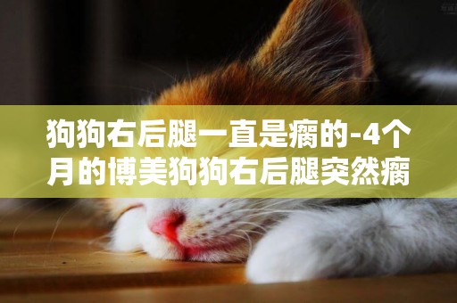 狗狗右后腿一直是瘸的-4個月的博美狗狗右后腿突然瘸了
