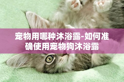 寵物用哪種沐浴露-如何準確使用寵物狗沐浴露
