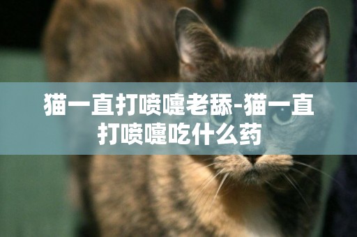 貓一直打噴嚏老舔-貓一直打噴嚏吃什么藥