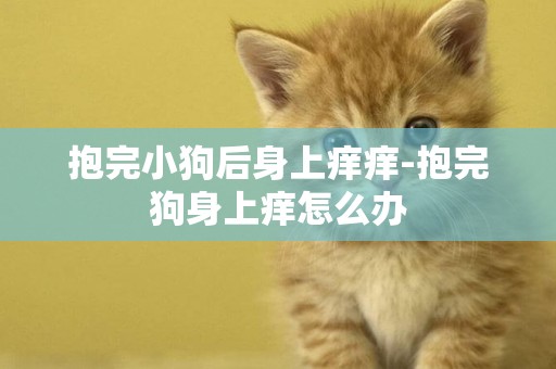 抱完小狗后身上癢癢-抱完狗身上癢怎么辦