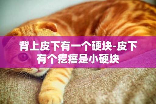 背上皮下有一個硬塊-皮下有個疙瘩是小硬塊