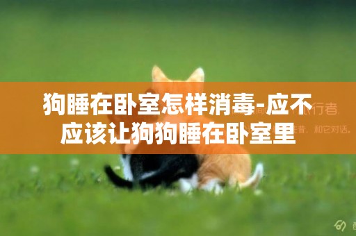 狗睡在臥室怎樣消毒-應不應該讓狗狗睡在臥室里