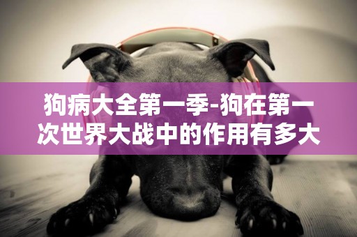 狗病大全第一季-狗在第一次世界大戰中的作用有多大