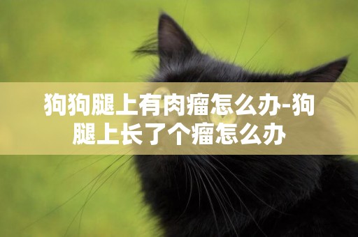 狗狗腿上有肉瘤怎么辦-狗腿上長了個瘤怎么辦