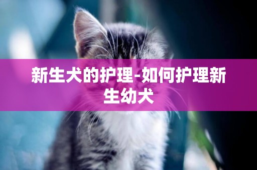 新生犬的護理-如何護理新生幼犬