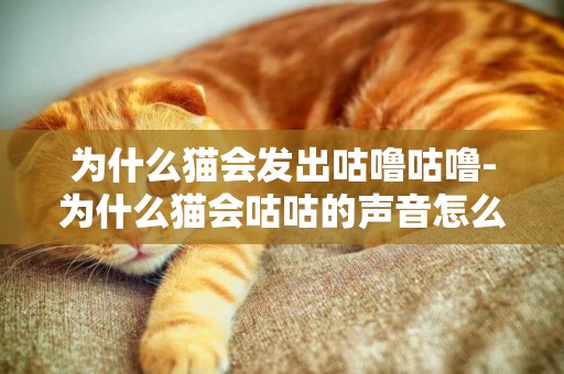 為什么貓會發出咕嚕咕嚕-為什么貓會咕咕的聲音怎么回事