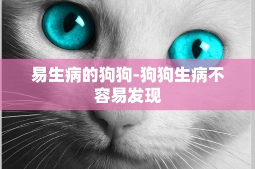 易生病的狗狗-狗狗生病不容易發現