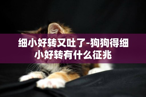 細小好轉又吐了-狗狗得細小好轉有什么征兆