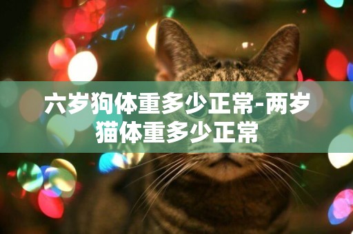 六歲狗體重多少正常-兩歲貓體重多少正常