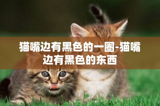 貓嘴邊有黑色的一圈-貓嘴邊有黑色的東西