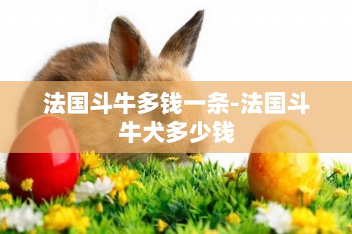法國斗牛多錢一條-法國斗牛犬多少錢