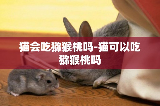 貓會吃獼猴桃嗎-貓可以吃獼猴桃嗎