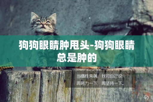狗狗眼睛腫甩頭-狗狗眼睛總是腫的