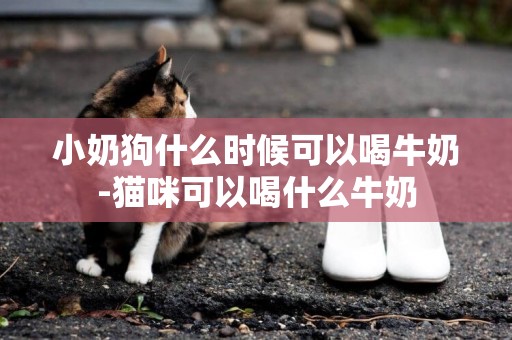 小奶狗什么時候可以喝牛奶-貓咪可以喝什么牛奶