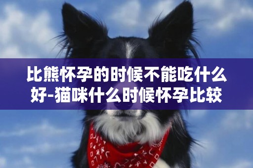 比熊懷孕的時候不能吃什么好-貓咪什么時候懷孕比較好