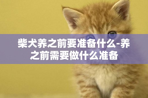 柴犬養之前要準備什么-養之前需要做什么準備