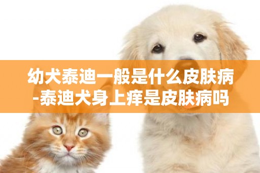 幼犬泰迪一般是什么皮膚病-泰迪犬身上癢是皮膚病嗎