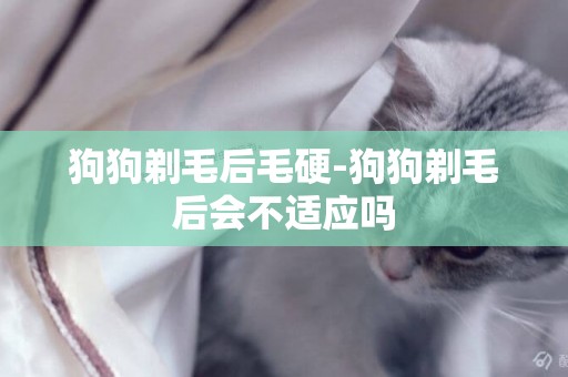 狗狗剃毛后毛硬-狗狗剃毛后會不適應嗎