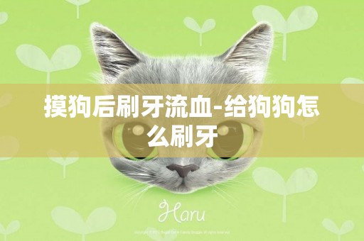 摸狗后刷牙流血-給狗狗怎么刷牙