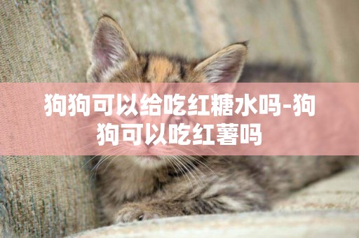 狗狗可以給吃紅糖水嗎-狗狗可以吃紅薯嗎