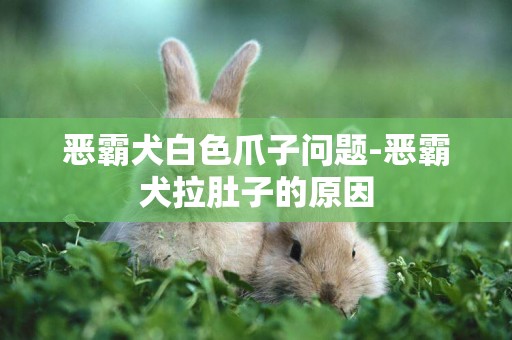 惡霸犬白色爪子問題-惡霸犬拉肚子的原因