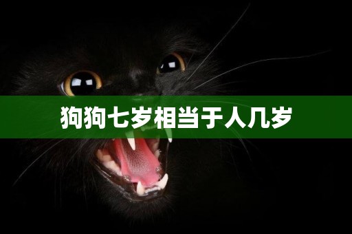 狗狗七歲相當于人幾歲