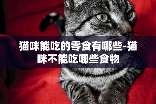 貓咪能吃的零食有哪些-貓咪不能吃哪些食物