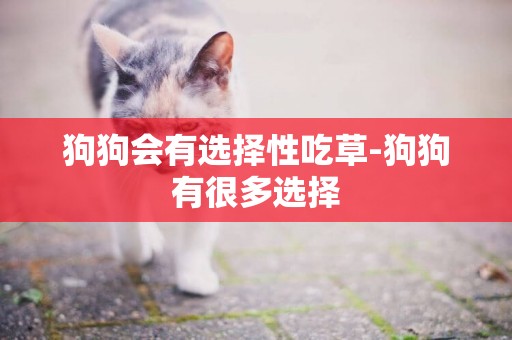 狗狗會有選擇性吃草-狗狗有很多選擇