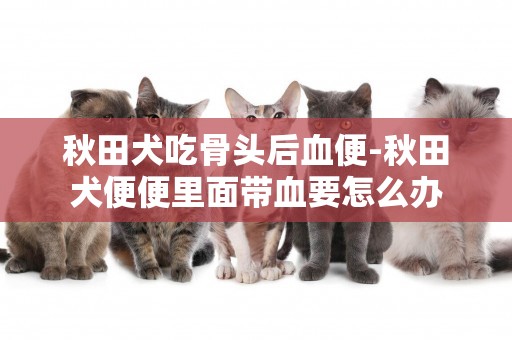 秋田犬吃骨頭后血便-秋田犬便便里面帶血要怎么辦