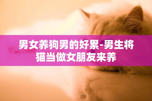 男女養狗男的好累-男生將貓當做女朋友來養