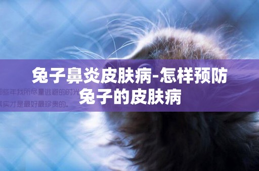 兔子鼻炎皮膚病-怎樣預防兔子的皮膚病