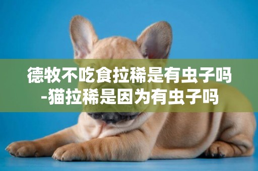 德牧不吃食拉稀是有蟲子嗎-貓拉稀是因為有蟲子嗎