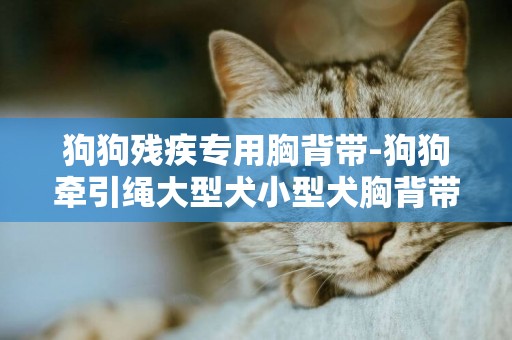 狗狗殘疾專用胸背帶-狗狗牽引繩大型犬小型犬胸背帶