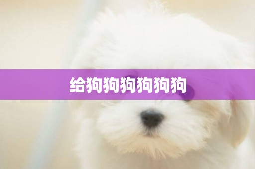 給狗狗狗狗狗狗