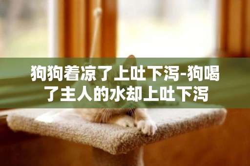 狗狗著涼了上吐下瀉-狗喝了主人的水卻上吐下瀉