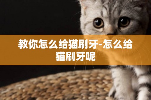 教你怎么給貓刷牙-怎么給貓刷牙呢