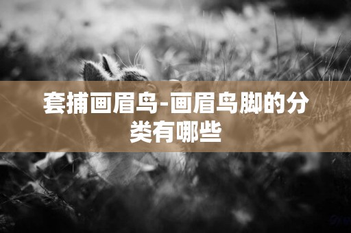 套捕畫眉鳥-畫眉鳥腳的分類有哪些