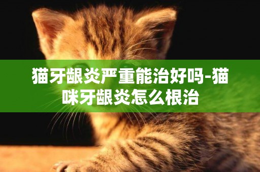 貓牙齦炎嚴重能治好嗎-貓咪牙齦炎怎么根治